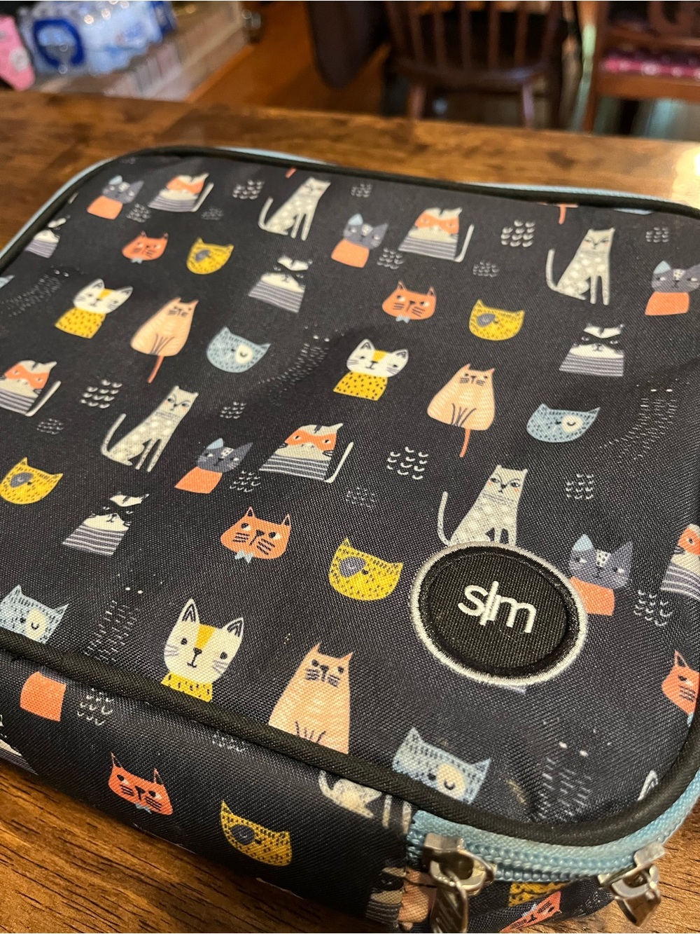 Simple Modern Kids Lunchbox Colorful Cats